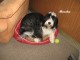 Thumbs/tn_Bild 026.jpg